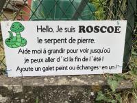 Bienvenue à ROSCOE le serpent de pierre