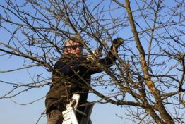 Cours de taille --> 13 dcembre