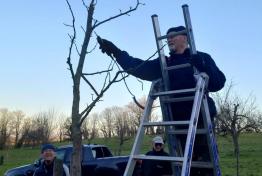 L'association des arboriculteurs du Sundgau