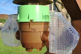 Campagne de pi�geage du frelon asiatique , informations