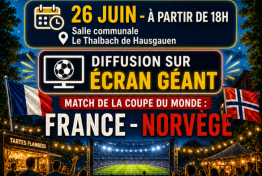 Soir�e foot � Hausgauen le 26 juin