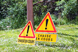  Information - Chasses en battue