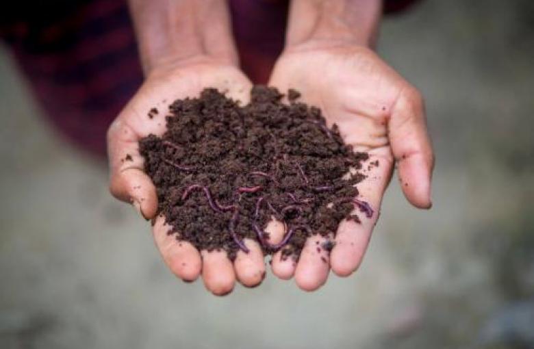 Construisez Votre Propre Vermicompost