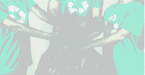 Ramassage de déchets "Elsassputz" par D