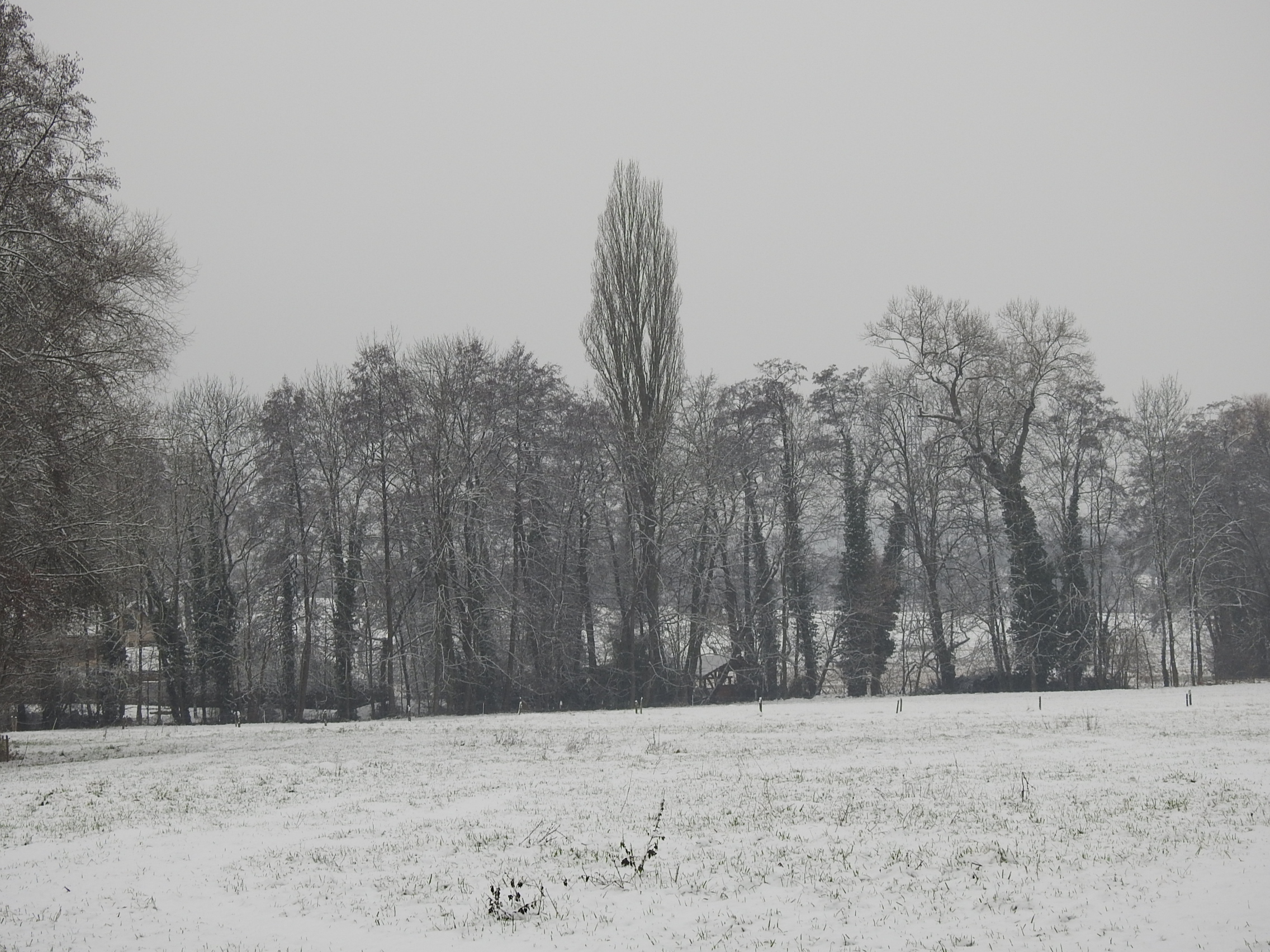 DSCN0692