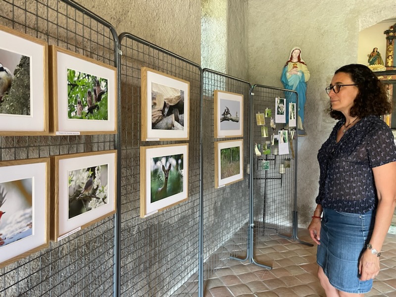 expo photo 26 i p