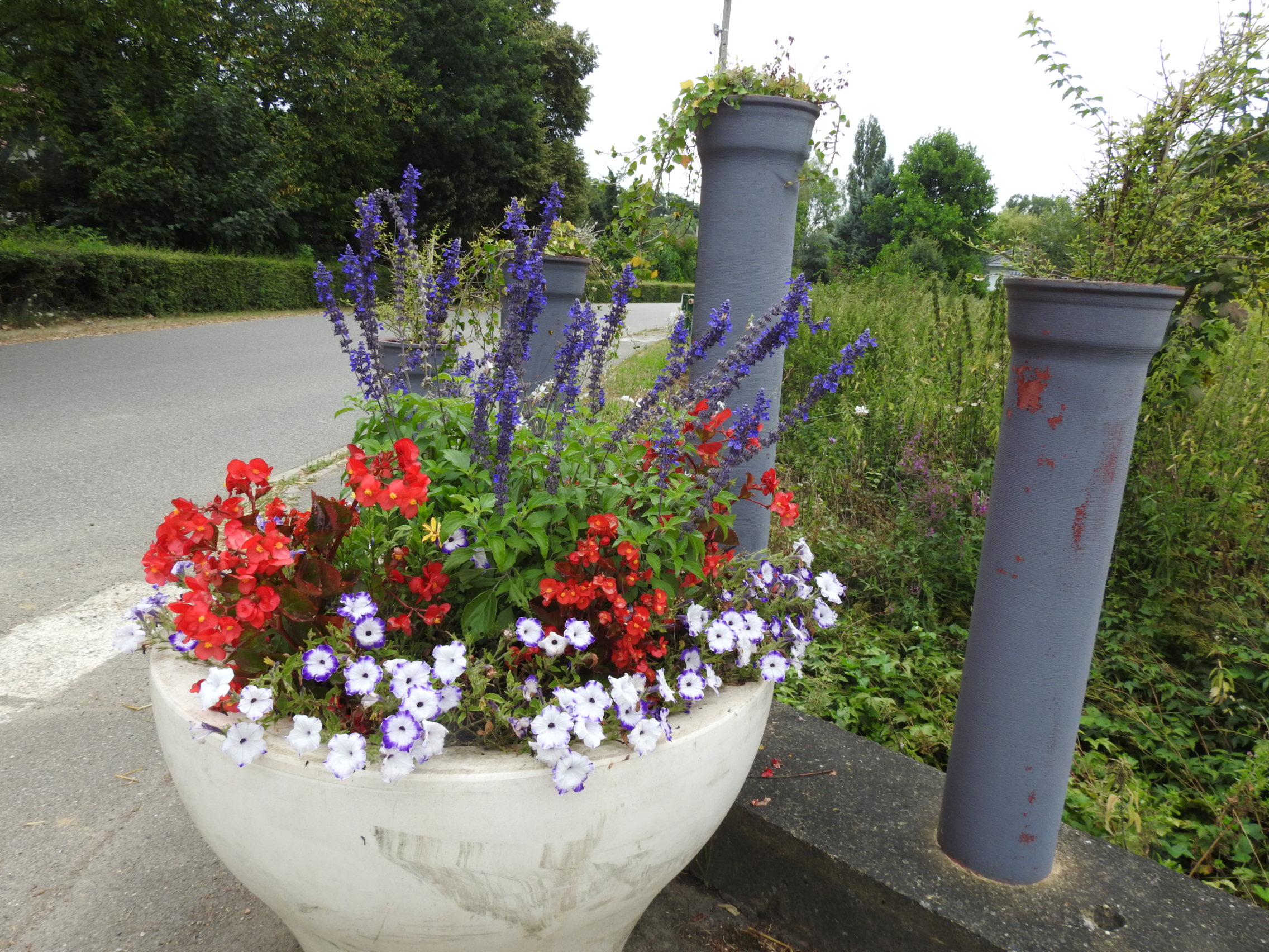 fleurs 24