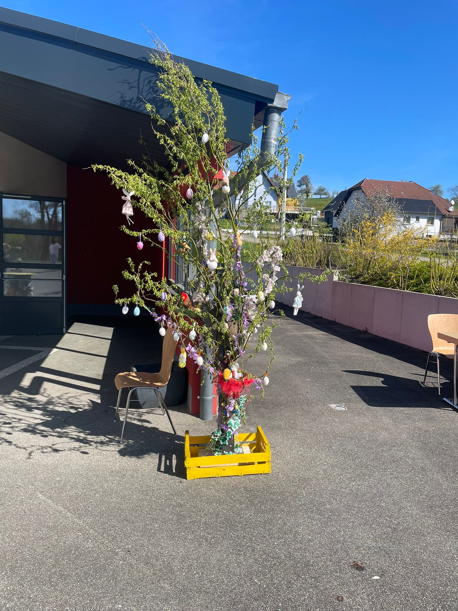 WhatsApp Image 2026-04-06 at 18.44.34